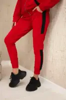 Sportinis džemperio ir kelnių rinkinys - spalvų pasirinkimas